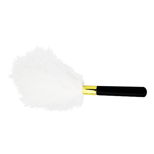 Bound to Play. Feather Teaser - Image 3